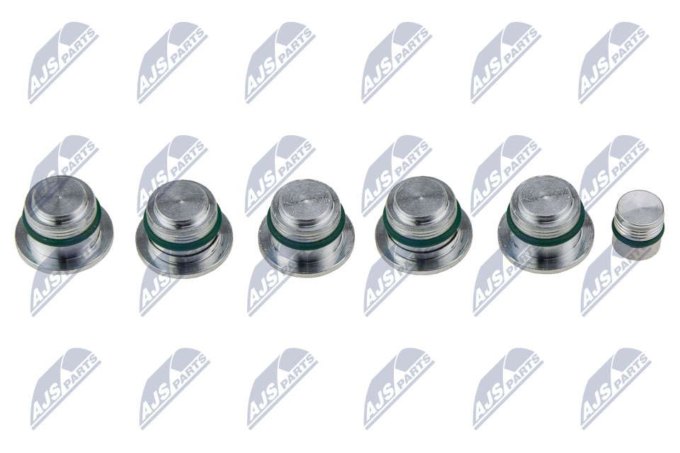 Intake Manifold Module - BKS-FT-009 NTY