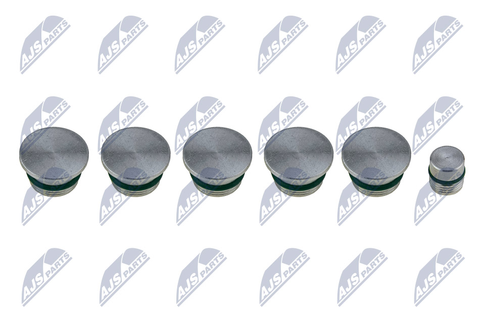 Intake Manifold Module - BKS-FT-009 NTY