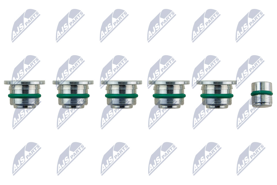 Intake Manifold Module - BKS-FT-009 NTY