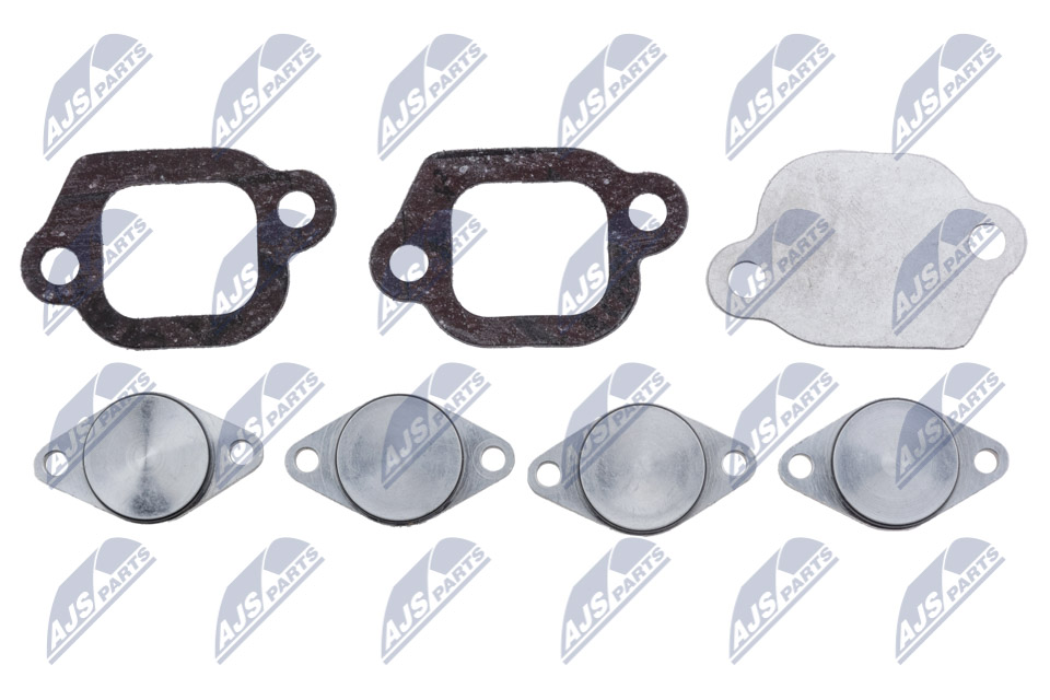 Repair Kit, intake manifold module - BKS-PL-006A NTY