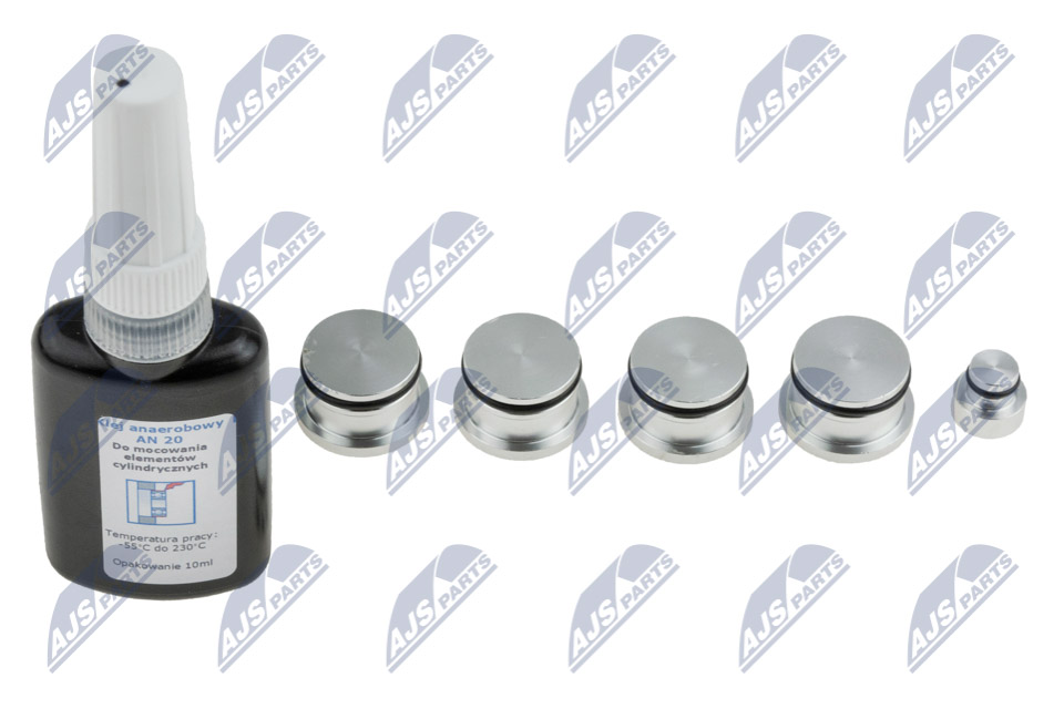Kit riparazione, modulo collettore aspirazione - BKS-PL-007 NTY
