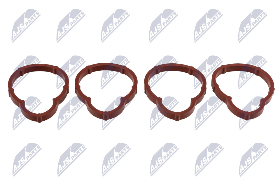 Gasket Set, intake manifold - BKS-RE-005 NTY