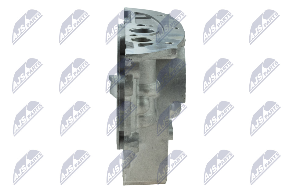 Oil Pump - BPO-RE-009 NTY