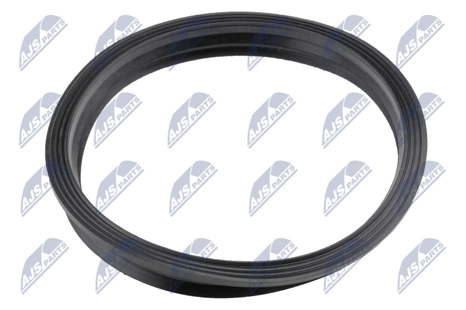 Gasket, fuel pump - BPP-VW-005 NTY