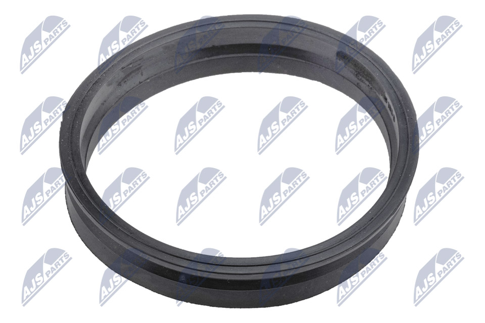 Gasket, fuel pump - BPP-VW-007 NTY