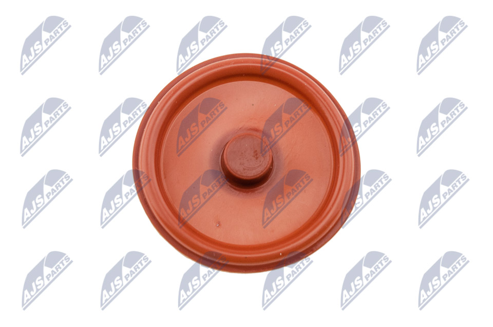 Copritestata - BPZ-PL-005 NTY