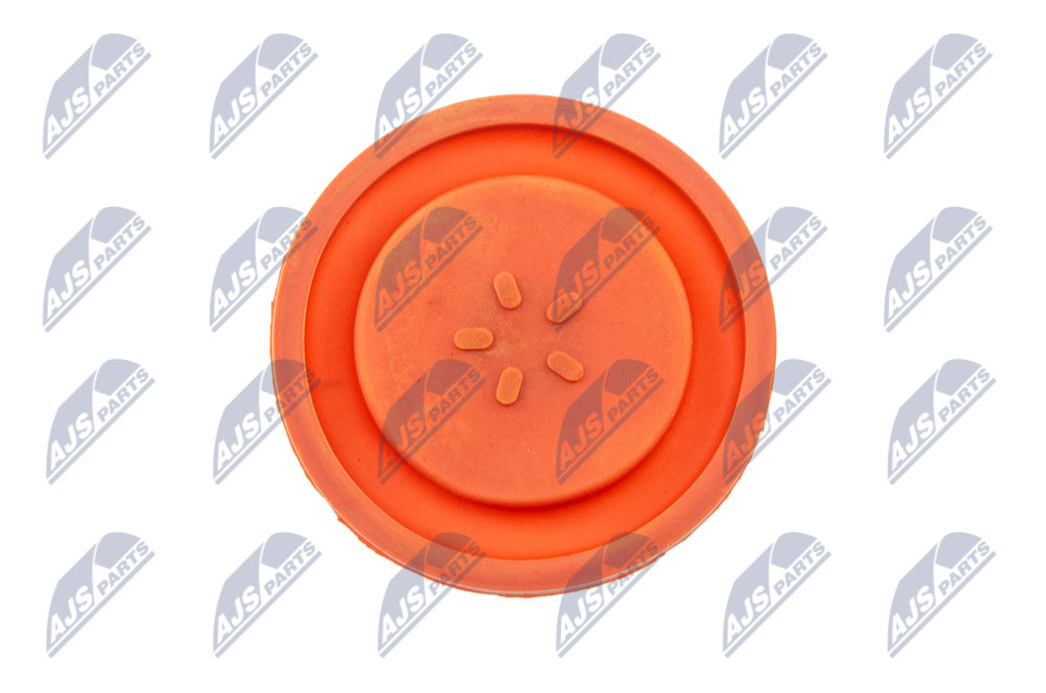 Cylinder Head Cover - BPZ-PL-006 NTY