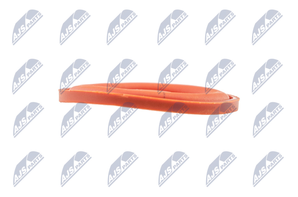 Cylinder Head Cover - BPZ-PL-006 NTY