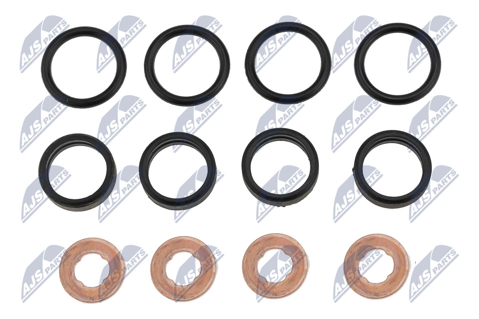 Seal Kit, injector nozzle - BWP-PL-003 NTY