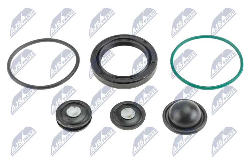 Repair Kit, high pressure pump - BWP-PL-004 NTY