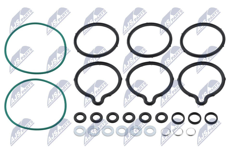 Repair Kit, common rail system - BWP-VW-011 NTY
