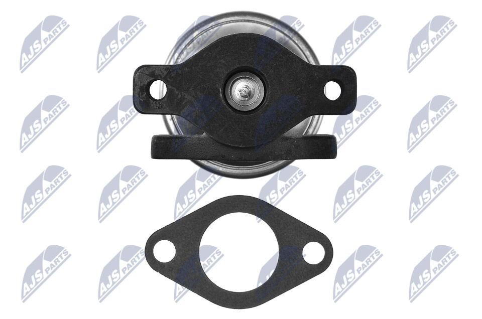 EGR Valve - EGR-AU-013 NTY
