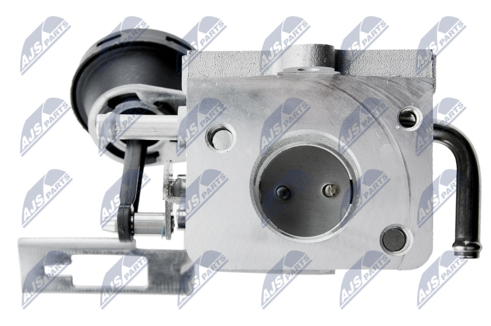 EGR Valve - EGR-AU-031 NTY