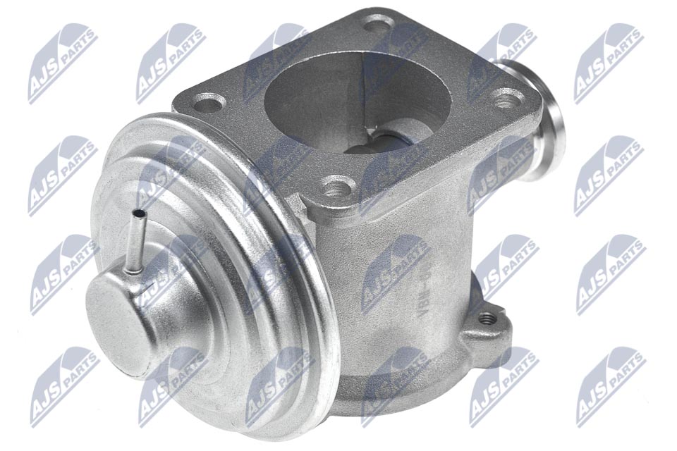 EGR Valve - EGR-BM-001 NTY