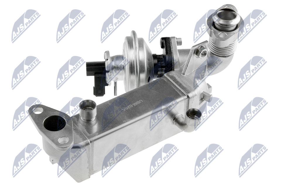 EGR Valve - EGR-BM-011A NTY
