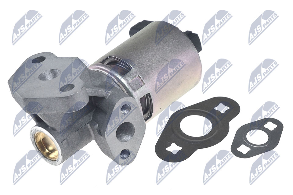 EGR Valve - EGR-CH-007 NTY