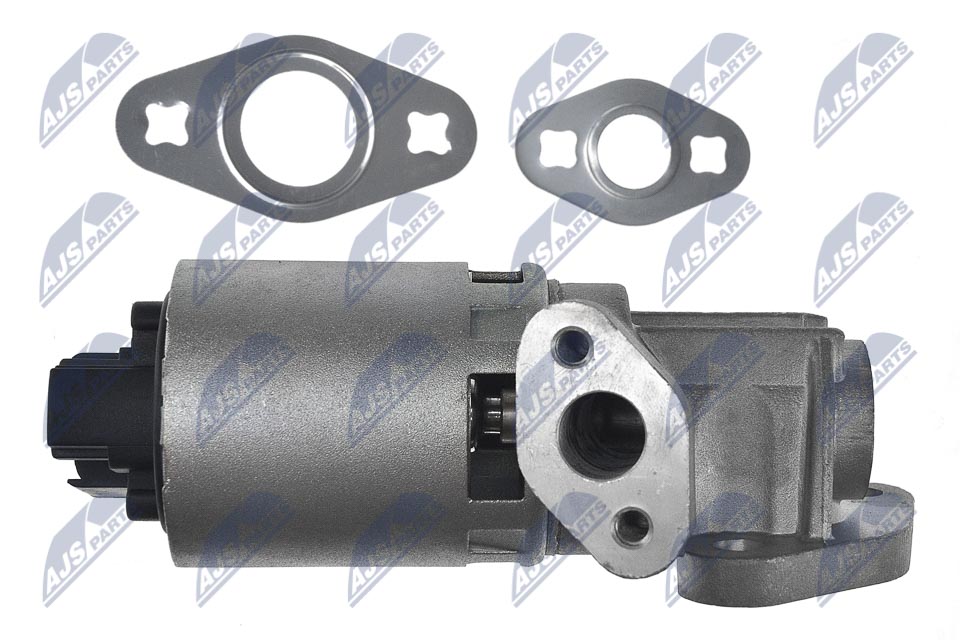 EGR Valve - EGR-CH-012 NTY
