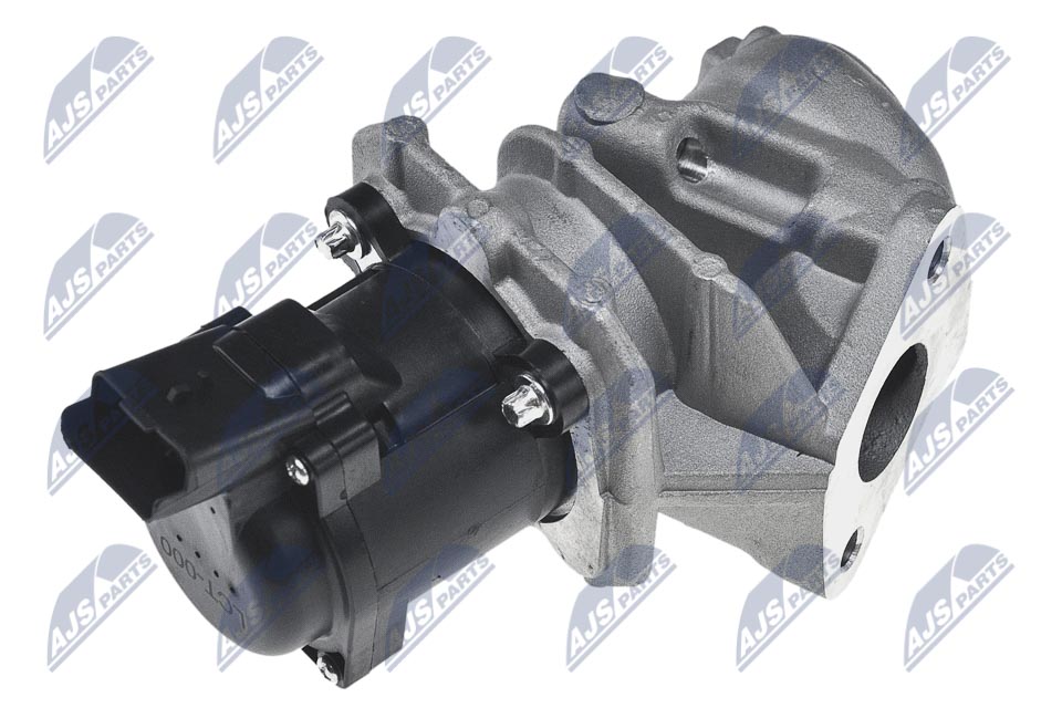 EGR Valve - EGR-CT-000 NTY