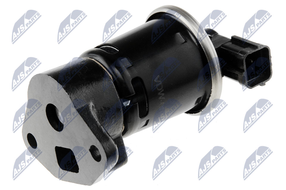 EGR Valve - EGR-DW-001 NTY