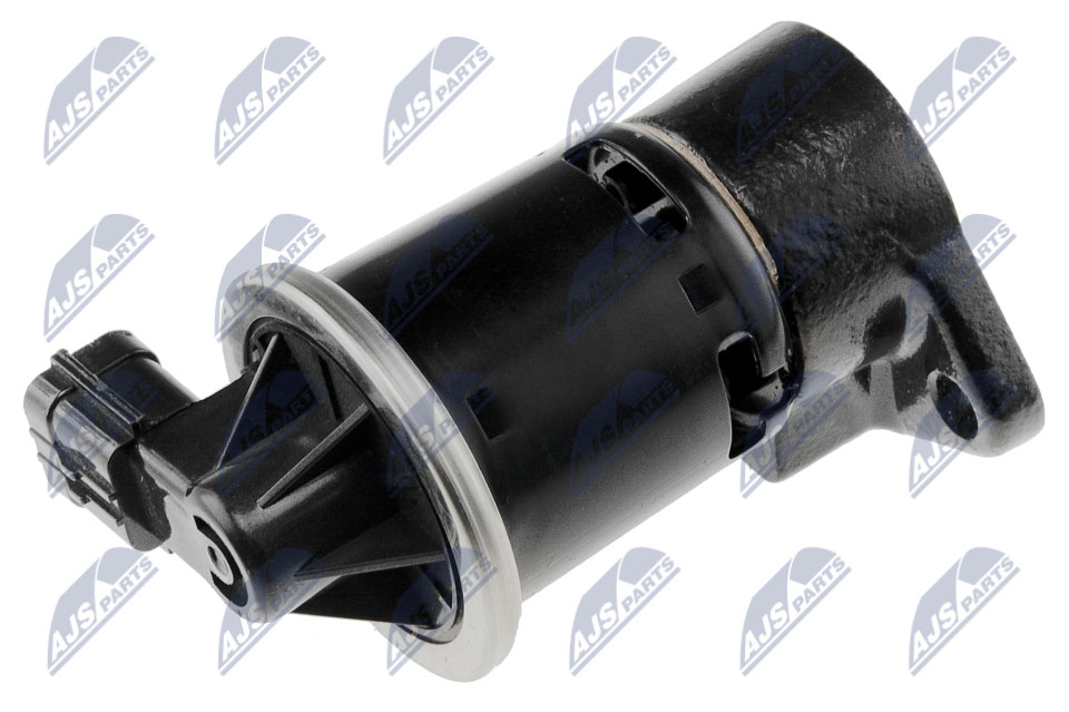 EGR Valve - EGR-DW-001 NTY