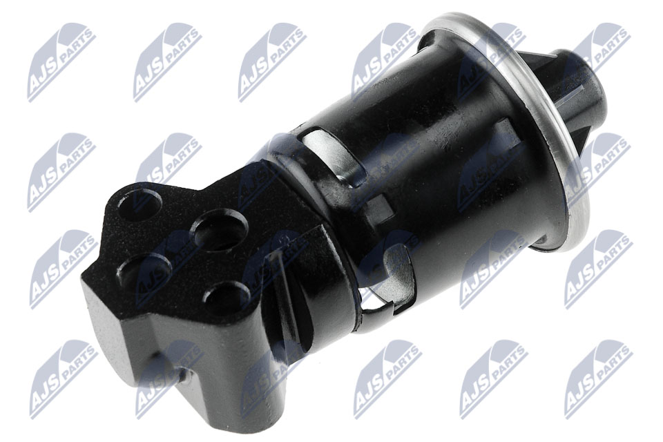 EGR Valve - EGR-DW-002 NTY