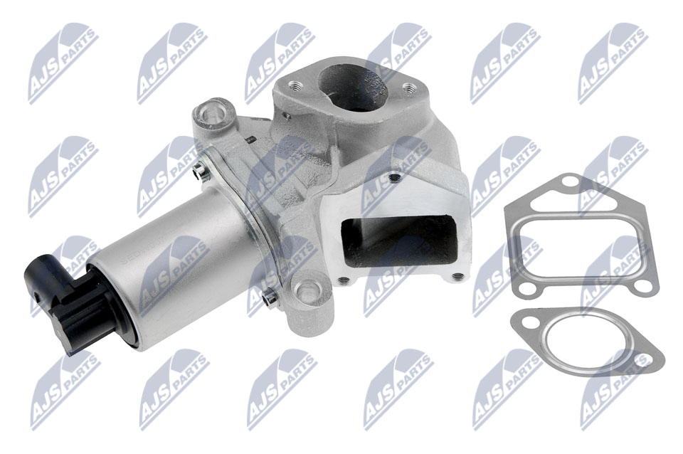 EGR Valve - EGR-DW-007 NTY