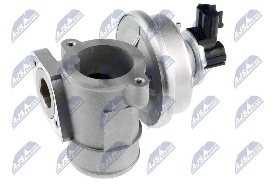 EGR Valve - EGR-FR-000 NTY