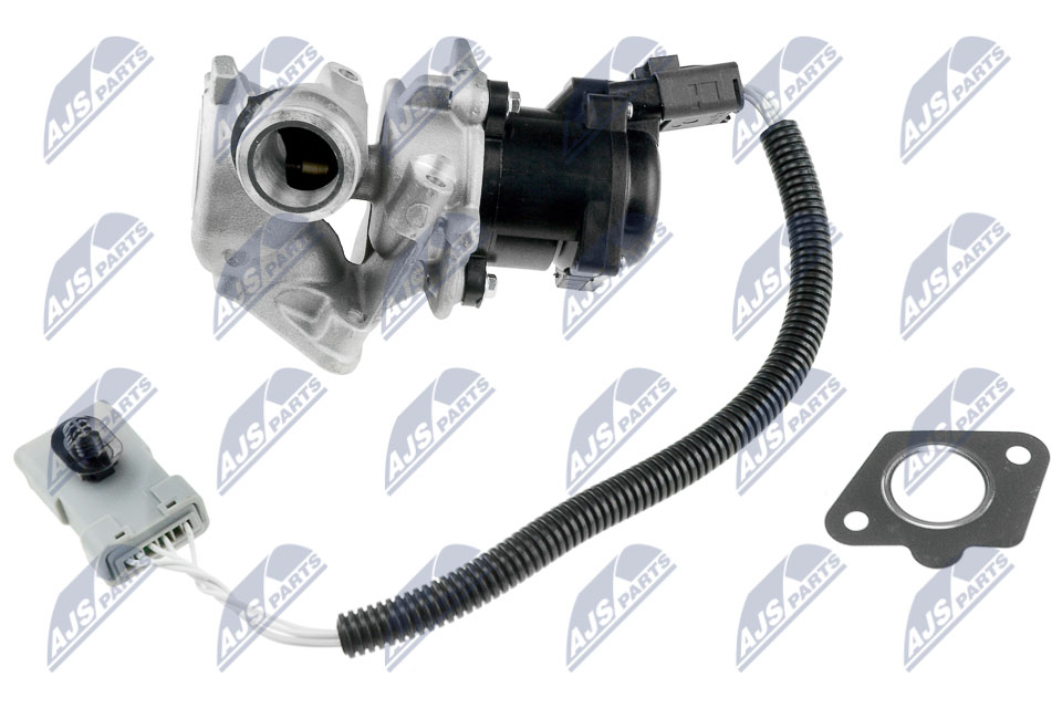 EGR Valve - EGR-FR-001 NTY