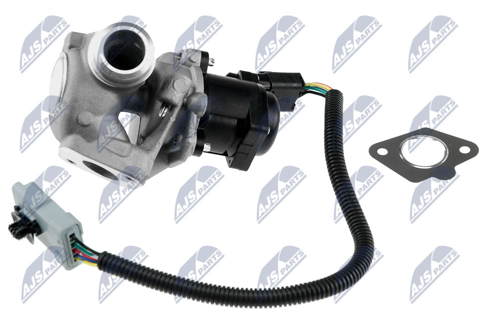 EGR Valve - EGR-FR-005 NTY
