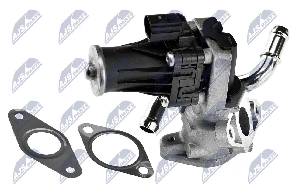 Valvola ricircolo gas scarico-EGR - EGR-FR-006 NTY