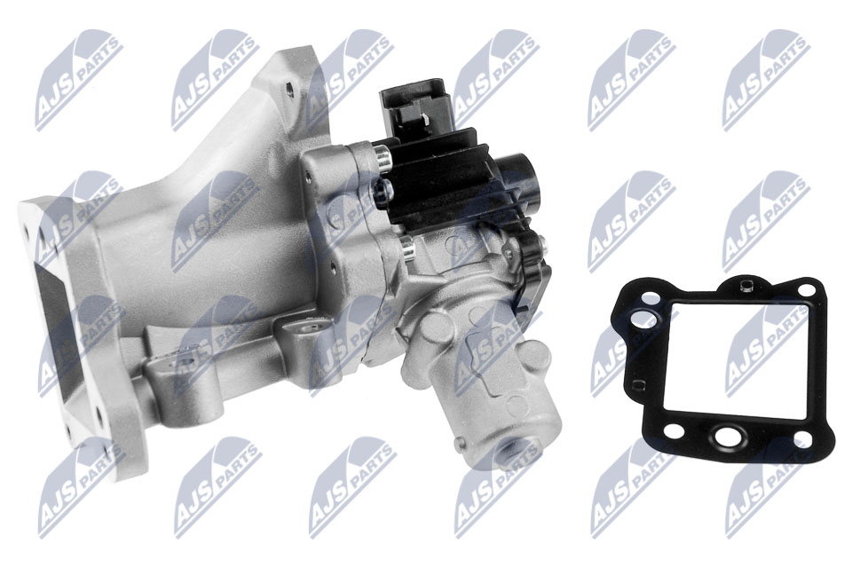 EGR Valve - EGR-FR-008 NTY