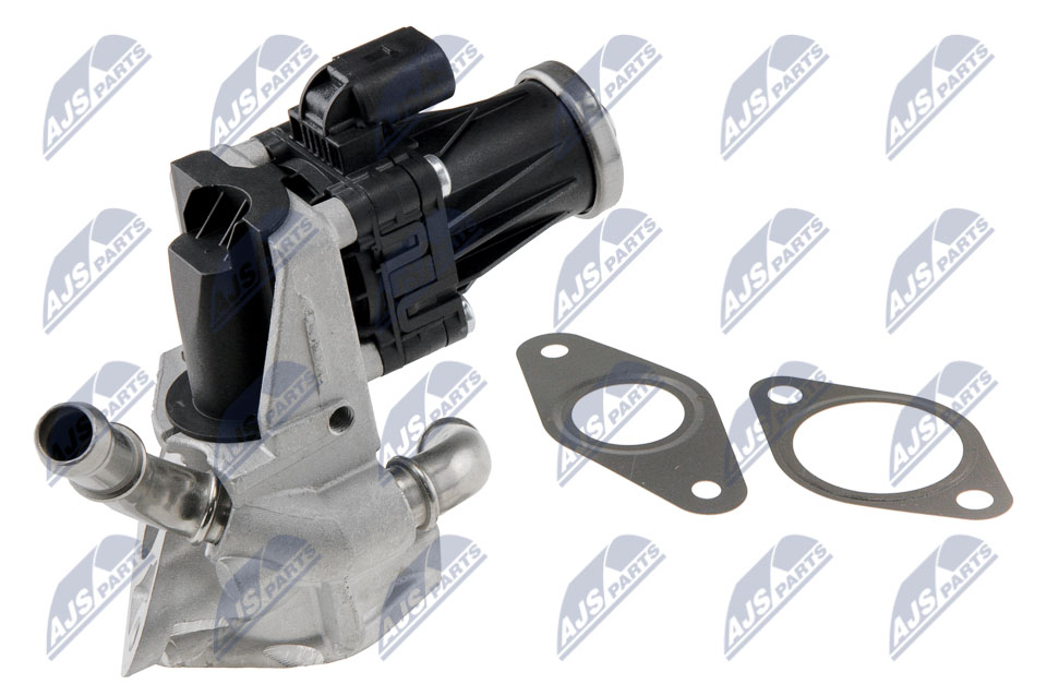 Valvola ricircolo gas scarico-EGR - EGR-FR-029 NTY