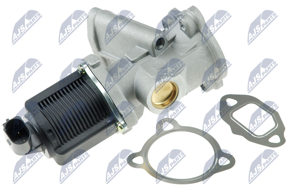 EGR Valve - EGR-FT-000 NTY