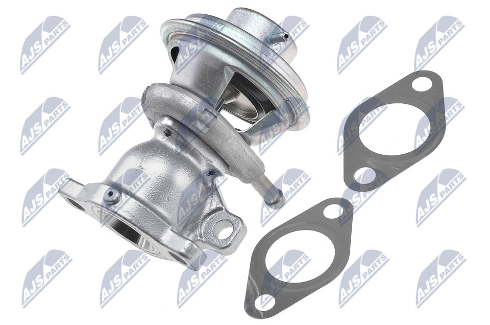 EGR Valve - EGR-FT-002 NTY