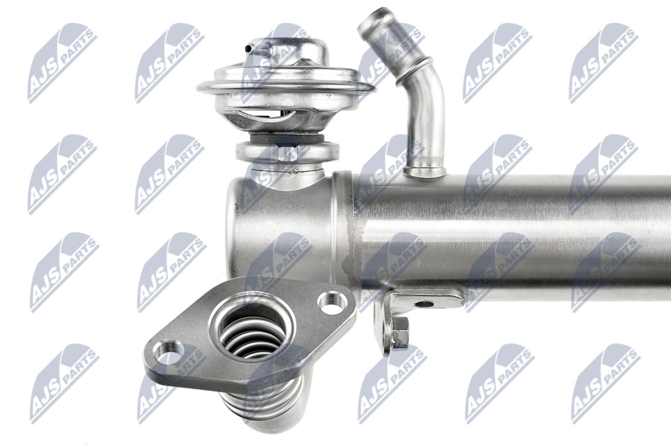 EGR Valve - EGR-FT-004A NTY
