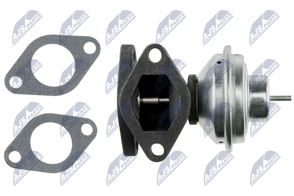 EGR Valve - EGR-LR-000 NTY