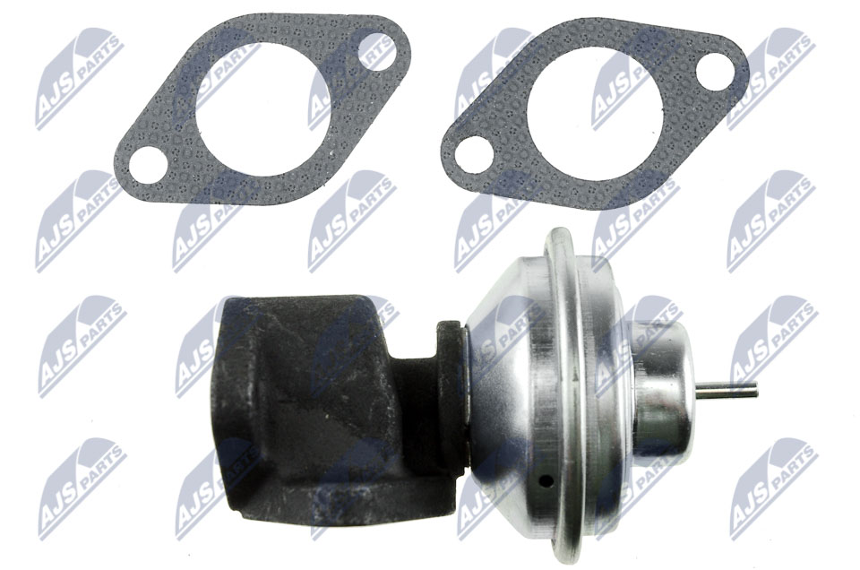 EGR Valve - EGR-LR-000 NTY