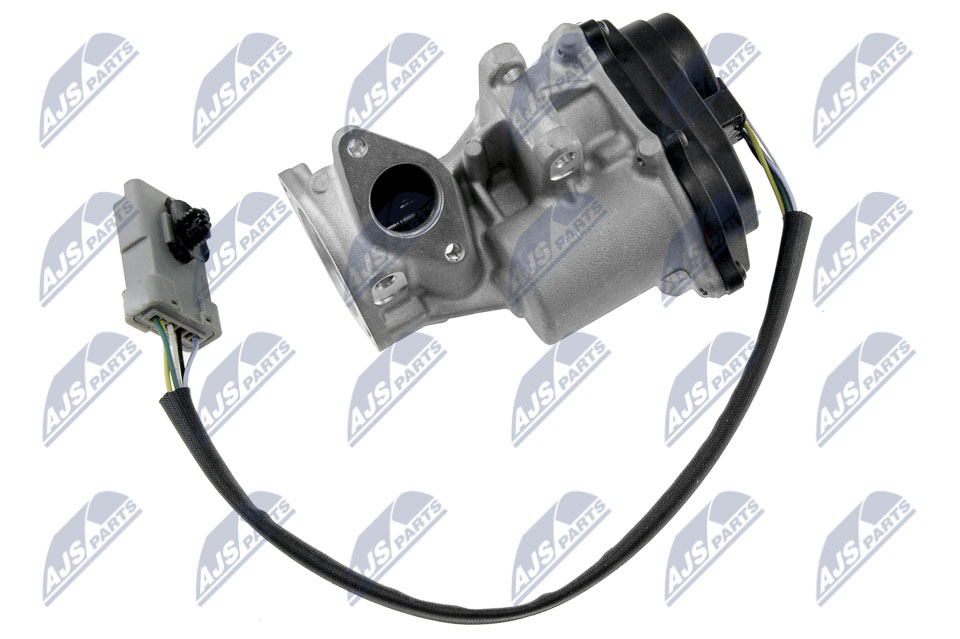 EGR Valve - EGR-LR-004 NTY