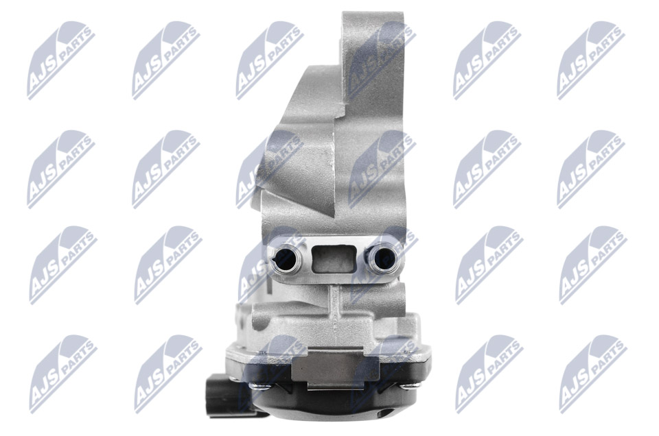 AGR-Ventil - EGR-NS-000 NTY