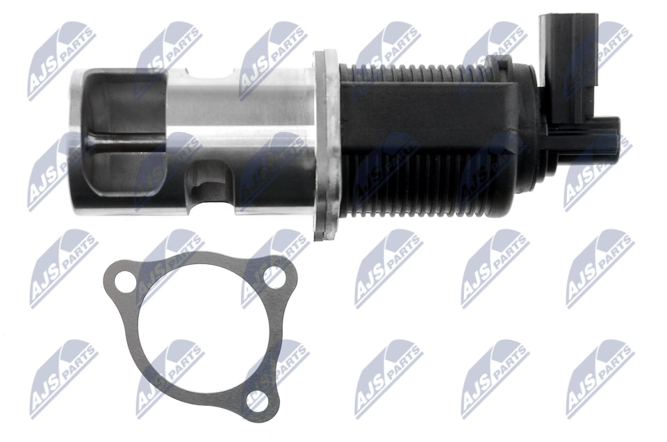 EGR Valve - EGR-NS-001 NTY