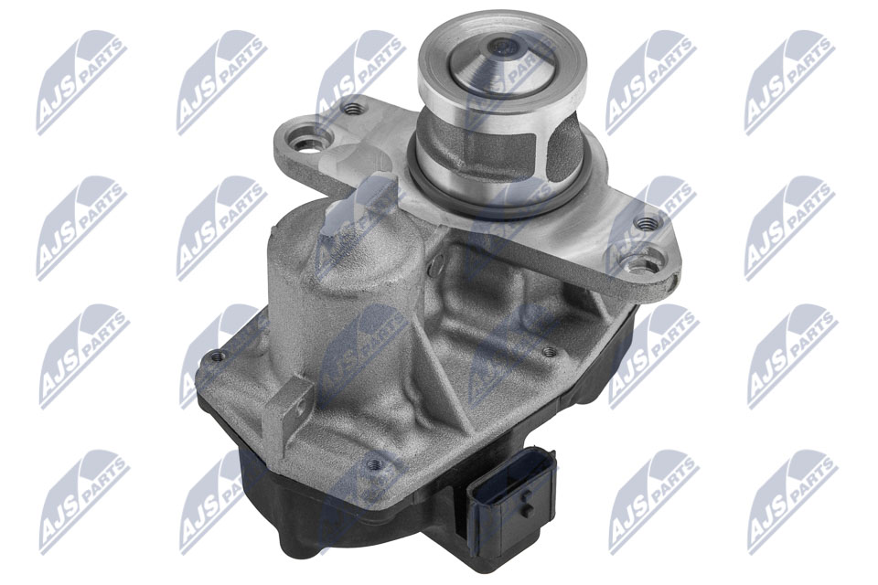 AGR-Ventil - EGR-NS-010 NTY