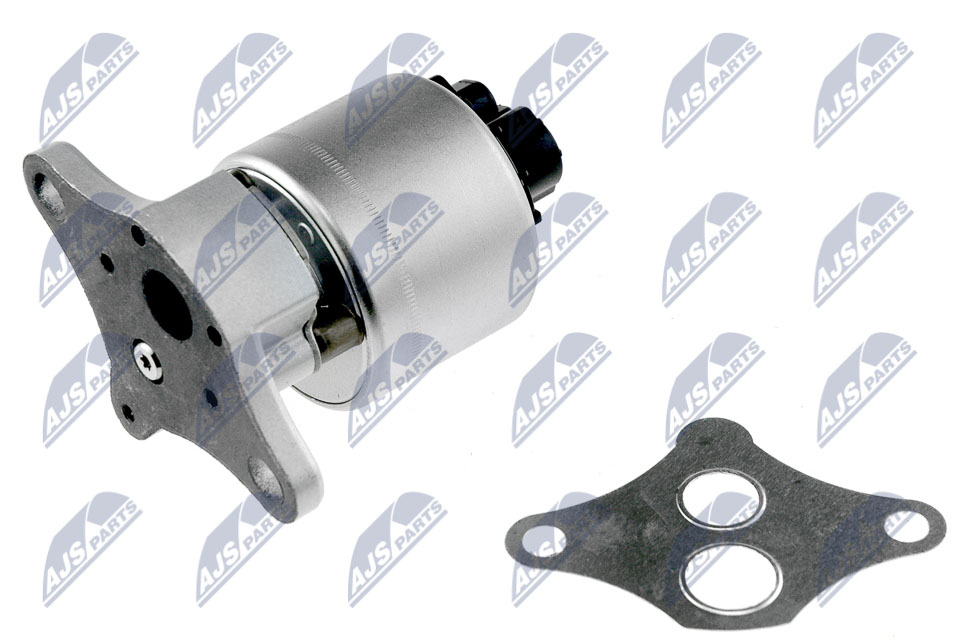 EGR Valve - EGR-PE-000 NTY