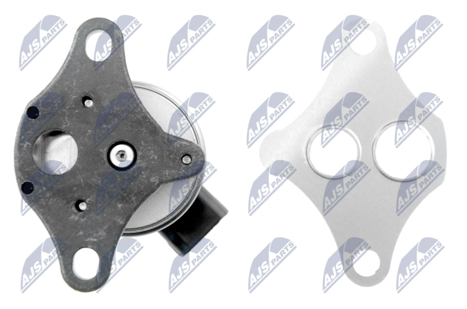 EGR Valve - EGR-PE-000 NTY