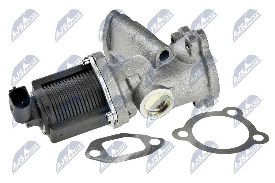 Valvola ricircolo gas scarico-EGR - EGR-PL-004 NTY