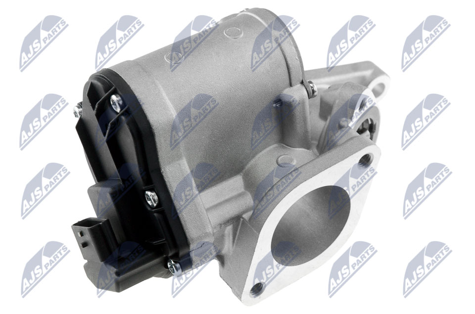 EGR Valve - EGR-RE-001 NTY