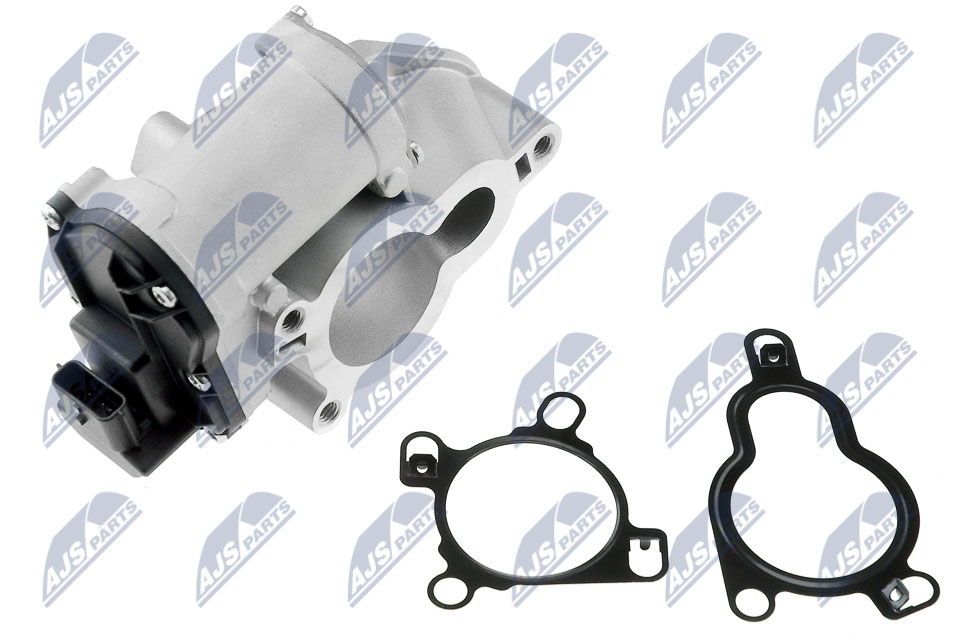 EGR Valve - EGR-RE-005 NTY