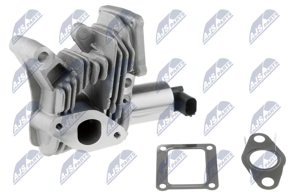 EGR Valve - EGR-RE-006 NTY