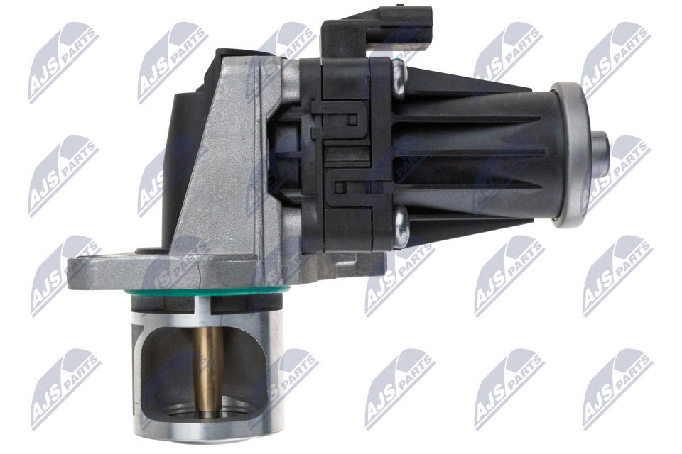 EGR Valve - EGR-RE-016 NTY