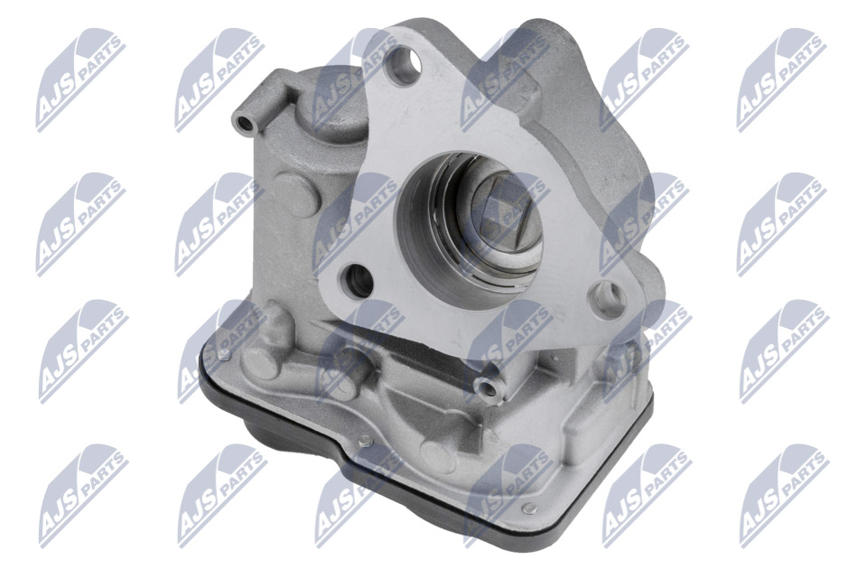EGR Valve - EGR-RE-019 NTY