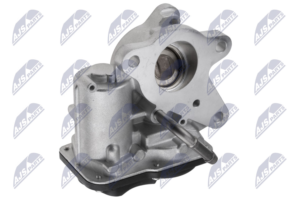 ERG vožtuvas - EGR-RE-025 NTY